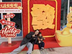 -海合安成都极地海洋公园