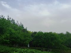 -大望京公园