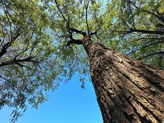 -汉长安城未央宫国家考古遗址公园