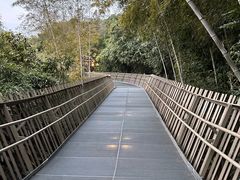 -福道