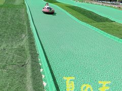 -北京鹿世界主题园