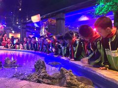 -华夏文旅海洋公园