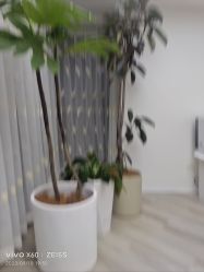 -HEYAN荷妍专业脱毛连锁机构