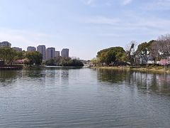 -新江湾城公园