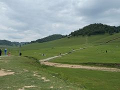 -关山草原