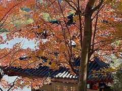 -穹窿山景区