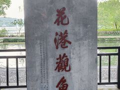 -西湖游船