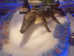 -澜悦港海鲜体验主题餐厅