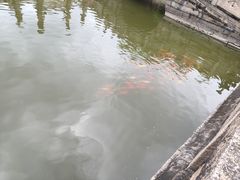 -揭阳学宫(榕城区)