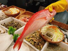 -高佳庄·舟山海鲜(海景旗舰店)