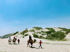 -库伦旗银沙湾旅游景区
