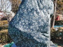 -中国地质博物馆