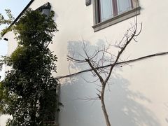 -张家港凤凰山景区恬庄古街