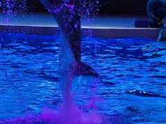 -哈尔滨波塞冬海底世界