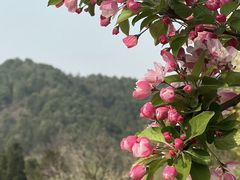 -国家植物园