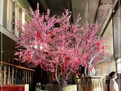 大堂-金轩中餐厅 Jin Xuan(浦东丽思卡尔顿酒店)