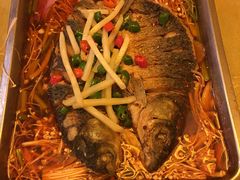功夫烤鱼-赵记煎饼卷大葱(泰山大街店)