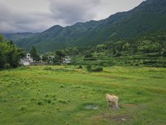 -上坦村
