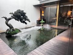 -觀芷隐轩
