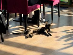 -EATALIA意塔利意式餐厅(鼓楼店)