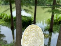 -尚湖风景区