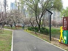 景点-西北湖绿化广场