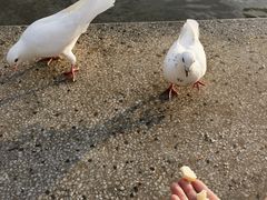 -上海交通大学(闵行校区)