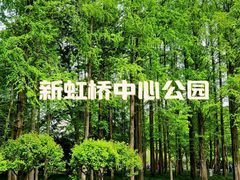 -新虹桥中心花园