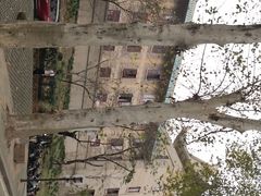 -武汉大学-樱园