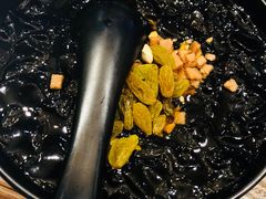 -靓蛙馆