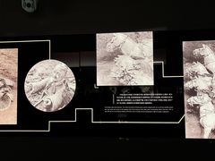 -秦始皇帝陵博物院-丽山园