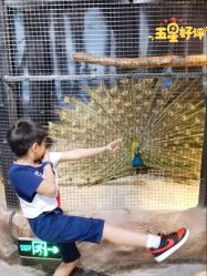 -酷嗒动物文化乐园(cutezoo西溪乐天城店)