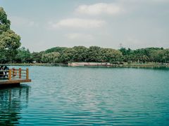 -五缘湾湿地公园