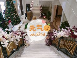 -禾丽康美医疗美容医院