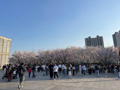 -龙美术馆西岸馆-停车场