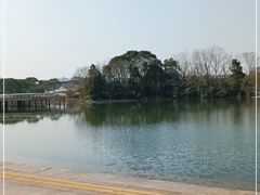 -新江湾城公园