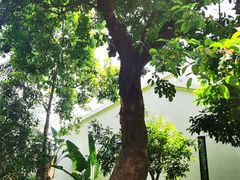 -天悦阁海景酒廊