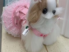 -萌宠之家·腊肠犬·马尔泰·小体犬舍