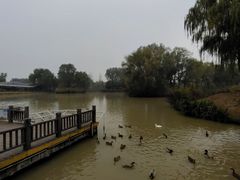-西安浐灞国家湿地公园