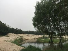 -翡翠岛