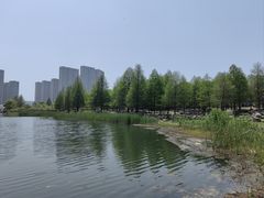 -苏州东太湖生态园