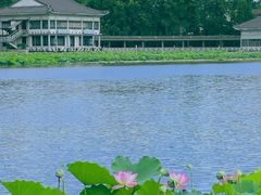 -荔湾湖公园