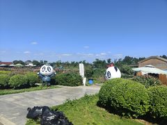 -空港花田景区