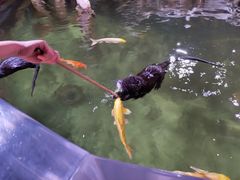 -正佳雨林生态植物园