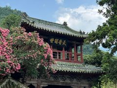 -报恩寺(平武县)