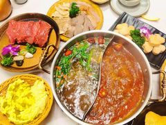 -菌子鲜汤野生菌锅