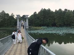 -东湖落雁景区