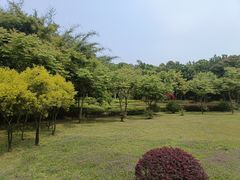 -福建鲤鱼洲酒店