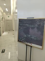 -欧扬医疗美容