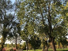 -安德鲁户外烧烤帐篷营地(马泉营店)